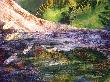 DSCN0815.JPG